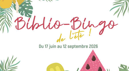 Bingo publi211