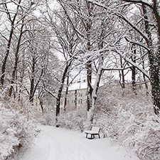 snow