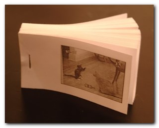 flipbook