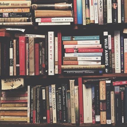livres ya
