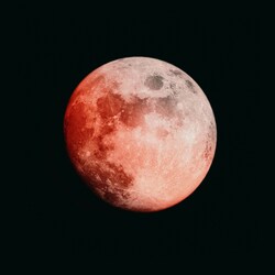 niranjan photographs CkFVjkeYloQ unsplash1